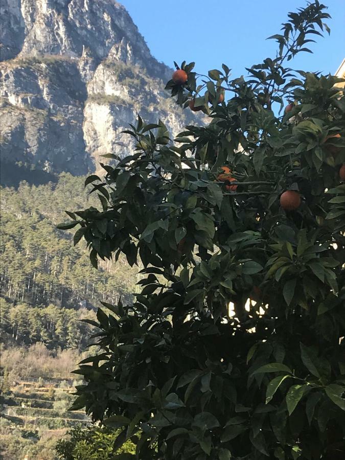 Casa Nika Διαμέρισμα Ρίβα ντελ Γκάρντα Εξωτερικό φωτογραφία